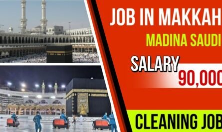 Top 6 Highest Paid Jobs In Saudi Arabia 2024